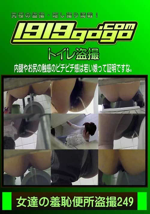 女達の羞恥便所盗撮 Vol.249